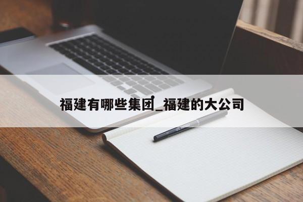 福建有哪些集团_福建的大公司