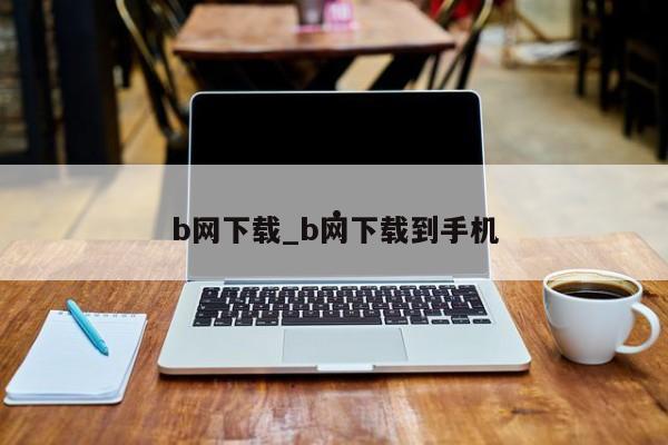b网下载_b网下载到手机