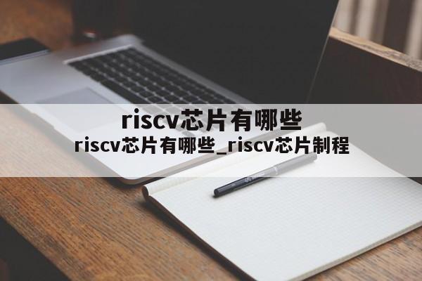 riscv芯片有哪些_riscv芯片制程
