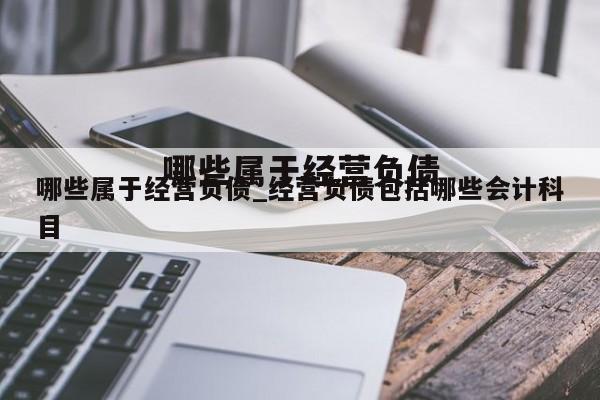 哪些属于经营负债_经营负债包括哪些会计科目