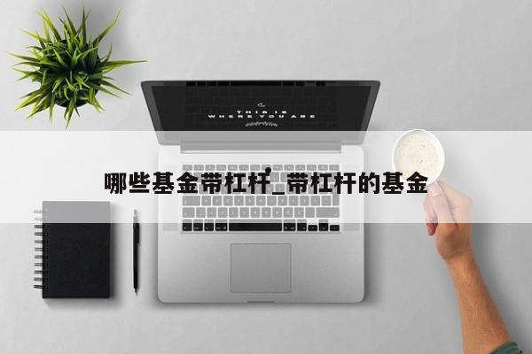 哪些基金带杠杆_带杠杆的基金