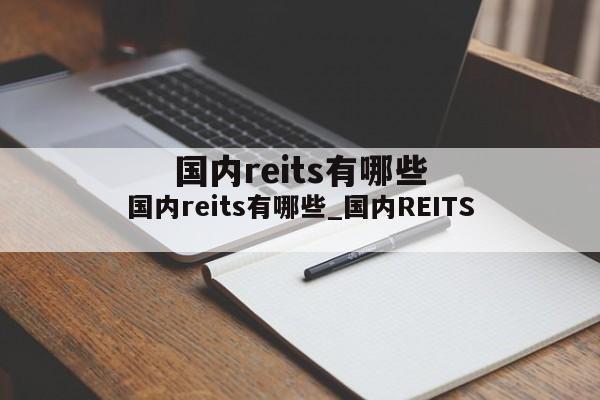 国内reits有哪些_国内REITS