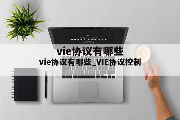 vie协议有哪些_VIE协议控制