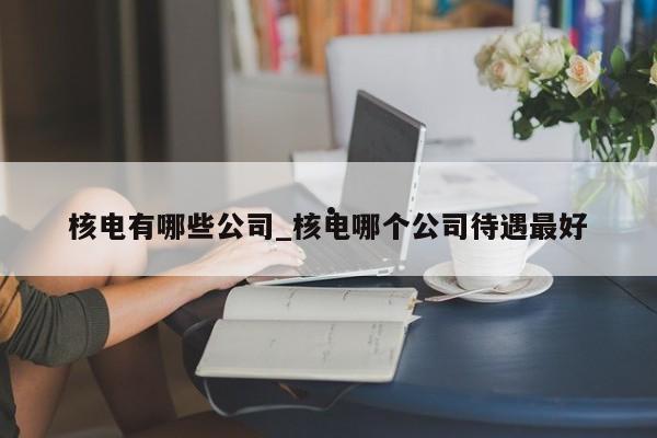 核电有哪些公司_核电哪个公司待遇最好