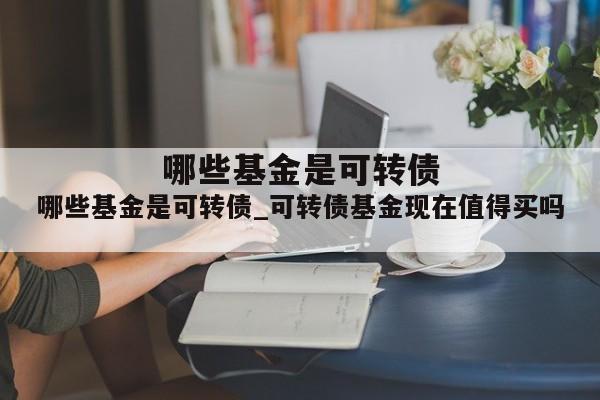 哪些基金是可转债_可转债基金现在值得买吗