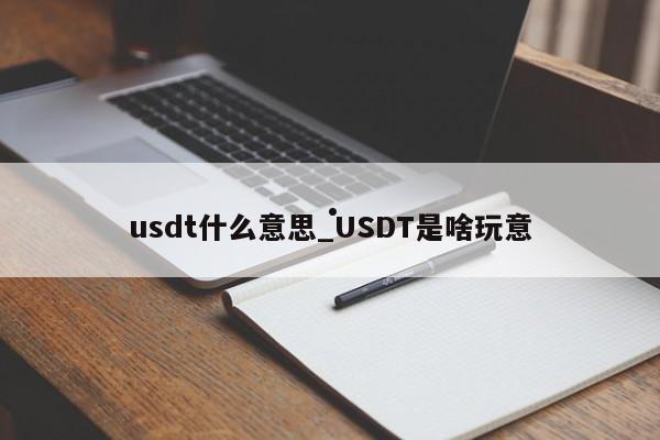 usdt什么意思_USDT是啥玩意