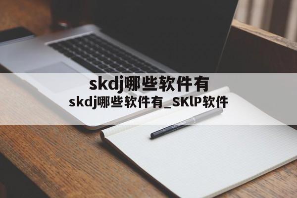 skdj哪些软件有_SKlP软件