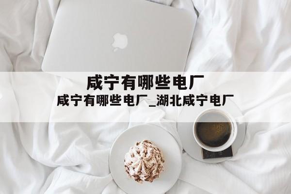 咸宁有哪些电厂_湖北咸宁电厂