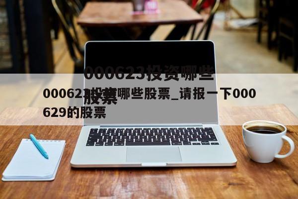 000623投资哪些股票_请报一下000629的股票