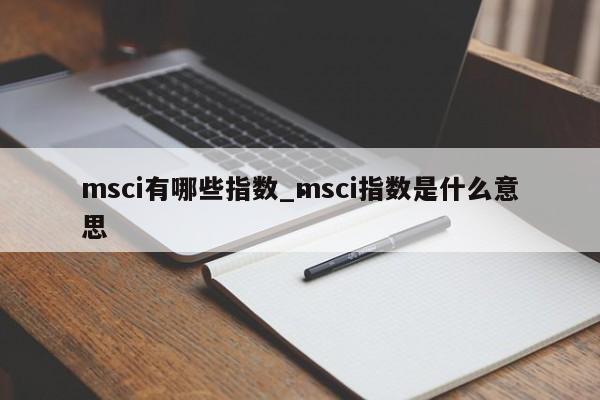 msci有哪些指数_msci指数是什么意思