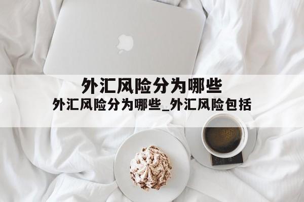 外汇风险分为哪些_外汇风险包括
