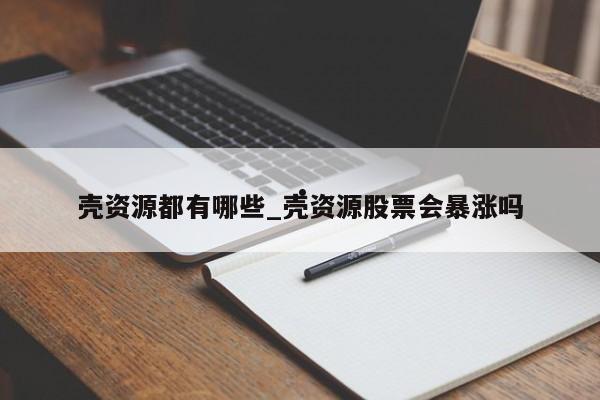 壳资源都有哪些_壳资源股票会暴涨吗