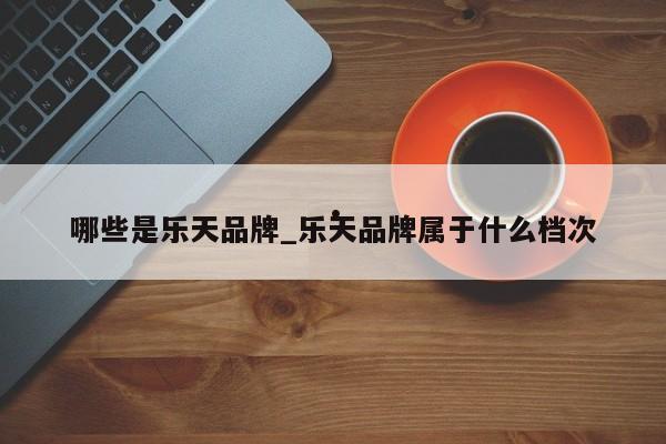 哪些是乐天品牌_乐天品牌属于什么档次